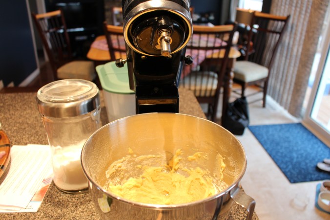 mixing the dough with my handy-dandy Kitchenaid mixer
